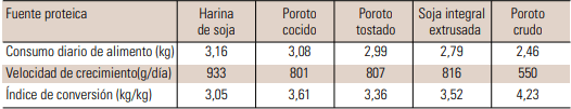Uso del poroto de soja integral como alimento para cerdos - Image 4