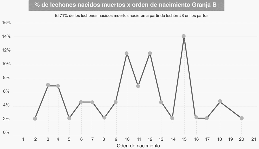 Impacto del orden de nacimiento en la presentación de lechones nacidos muertos - Image 1