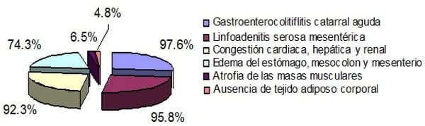 Consideraciones sobre el diagnóstico presuntivo de campo y el confirmativo de laboratorio en la colibacilosis entérica porcina en la provincia de Villa Clara - Image 1