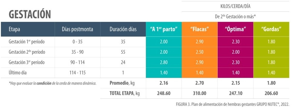 Alojamiento en gestación y el bienestar animal - Image 4