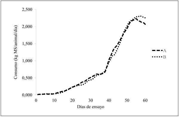 Figura 4. Consumo de alimento sólido acumulado. A: extrusionado, B: iniciador.