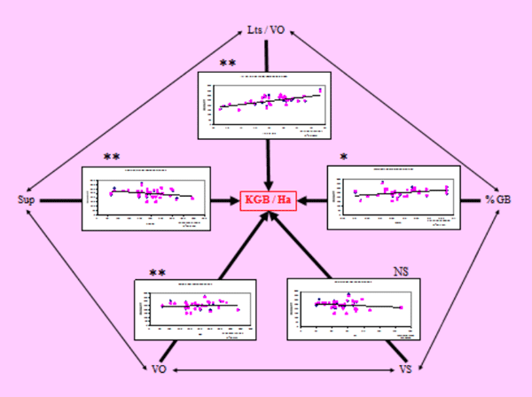 Relaciones entre la matemática y la toma de decisiones en el manejo reproductivo - Image 1