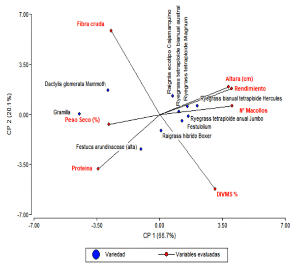 Figura 4. Análisis multivariantes de las variedades estudiadas.