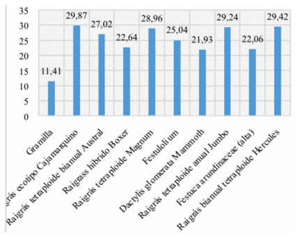 Figura 3. Altura de las variedades en centímetros.
