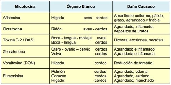 Evaluación de aditivos anti-micotoxinas en la protección de órganos blancos en Aves y cerdos - Image 1