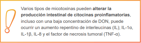 Micotoxinas y Salud Intestinal en Monogástricos - Image 3