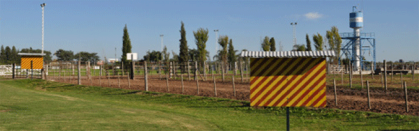 Manejo integrado de moscas en sistemas ganaderos intensivos - Image 30