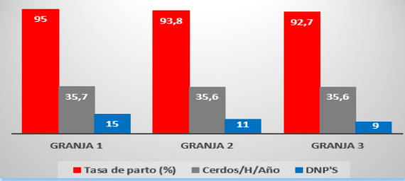Nueva Estrategia Nutricional en Cerdas Lactantes - Image 3