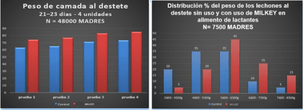 Nueva Estrategia Nutricional en Cerdas Lactantes - Image 5