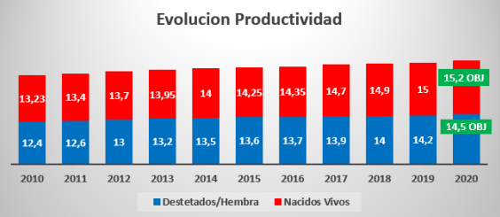 Nueva Estrategia Nutricional en Cerdas Lactantes - Image 1