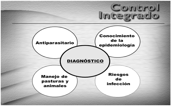 “EVOLUCIÓN DEL CONTROL PARASITARIO EN BOVINOS: DESDE EL CUADRO CLÍNICO HASTA LA RESISTENCIA ANTIHELMÍNTICA” - Image 5