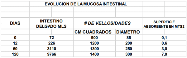 EVOLUCION DE LA MUCOSA INTESTINAL