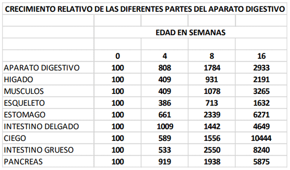 CRECIMIENTO RELATIVO DE LAS DIFERENTES PARTES DEL APARATO DIGESTIVO