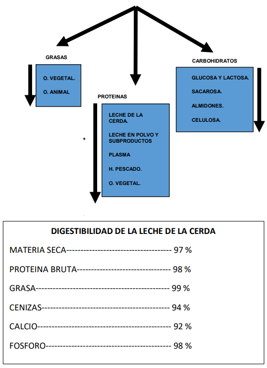 DIGESTIBILIDAD DE LA LECHE DE LA CERDA