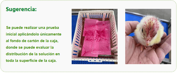 Puntos importantes en la aplicación de probióticos en spray en las plantas de incubación avícolas - Image 1