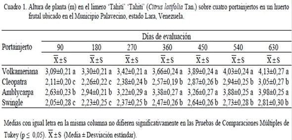 Crecimiento del limero ‘Tahití’ (Citrus latifolia Tan.) y desarrollo del fruto sobre cuatro portainjertos en un huerto frutal ubicado en el Municipio Palavecino, estado Lara, Venezuela - Image 1