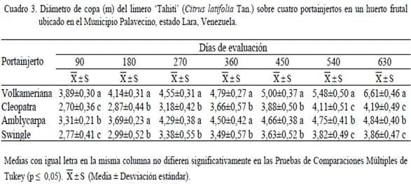 Crecimiento del limero ‘Tahití’ (Citrus latifolia Tan.) y desarrollo del fruto sobre cuatro portainjertos en un huerto frutal ubicado en el Municipio Palavecino, estado Lara, Venezuela - Image 3