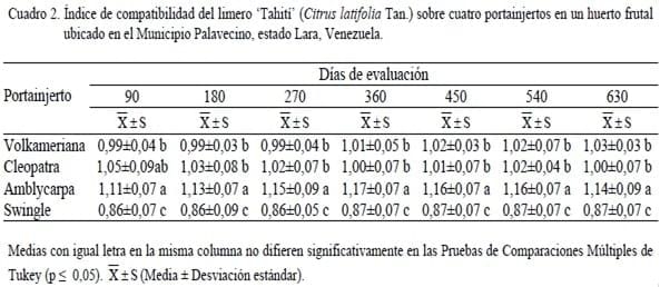 Crecimiento del limero ‘Tahití’ (Citrus latifolia Tan.) y desarrollo del fruto sobre cuatro portainjertos en un huerto frutal ubicado en el Municipio Palavecino, estado Lara, Venezuela - Image 2