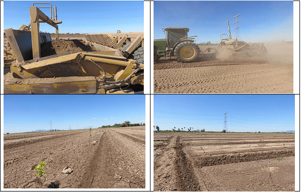 NIVELACIÓN DE UN TERRENO AGRÍCOLA PARA FRUTALES. Demostración gráfica de maquinaria y topografía. Siete de siete - Image 6