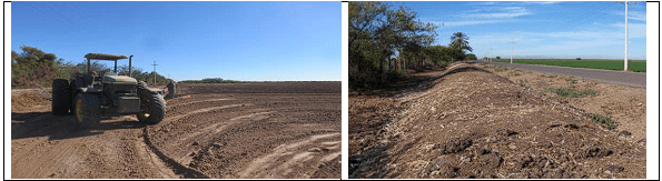 NIVELACIÓN DE UN TERRENO AGRÍCOLA PARA FRUTALES. Demostración gráfica de maquinaria y topografía. Siete de siete - Image 9