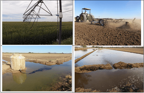 NIVELACIÓN DE UN TERRENO AGRÍCOLA PARA FRUTALES. Demostración gráfica de maquinaria y topografía. Siete de siete - Image 11
