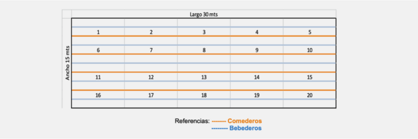 REPORTE DE CASO - CONTROL DOBLE A GÜEMES, SALTA, AR - Image 3
