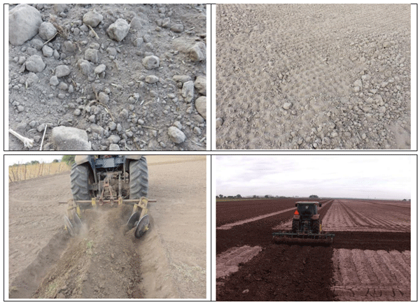 RYE GRASS. Demostración gráfica para establecer una pradera de ballico italiano Lolium multiflorum con riego agrícola, implementando un paquete tecnológico y prácticas agronómicas sostenibles. Uno de siete - Image 5