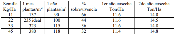 DENSIDAD DE SIEMBRA Y RENDIMIENTO