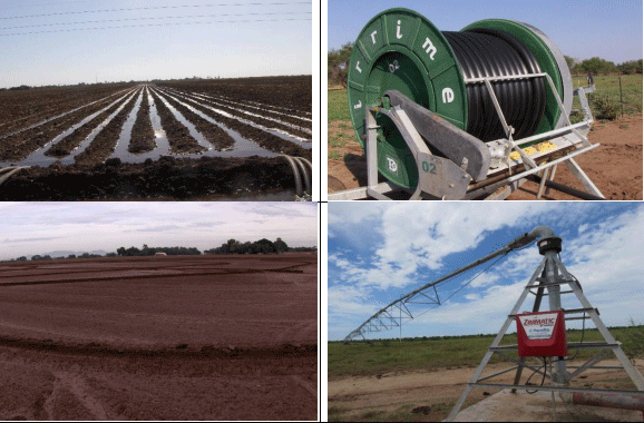 NIVELACIÓN DE UN TERRENO AGRÍCOLA PARA FRUTALES. Demostración gráfica de maquinaria y topografía. Siete de siete - Image 2