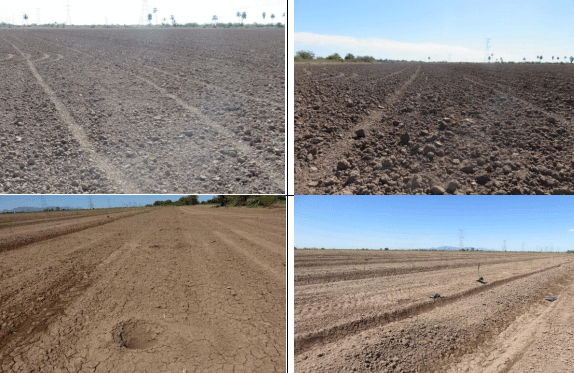 NIVELACIÓN DE UN TERRENO AGRÍCOLA PARA FRUTALES. Demostración gráfica de maquinaria y topografía. Siete de siete - Image 4