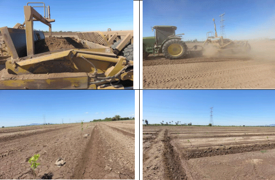 NIVELACIÓN DE UN TERRENO AGRÍCOLA PARA FRUTALES. Demostración gráfica de maquinaria y topografía. Siete de siete - Image 5