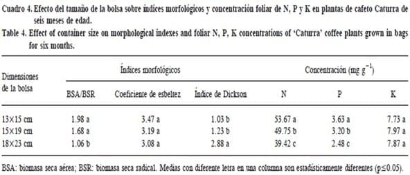 Respuesta de plántulas de Cafeto al tamaño de la bolsa y fetilización con nitrógeno y fósforo en vivero - Image 3