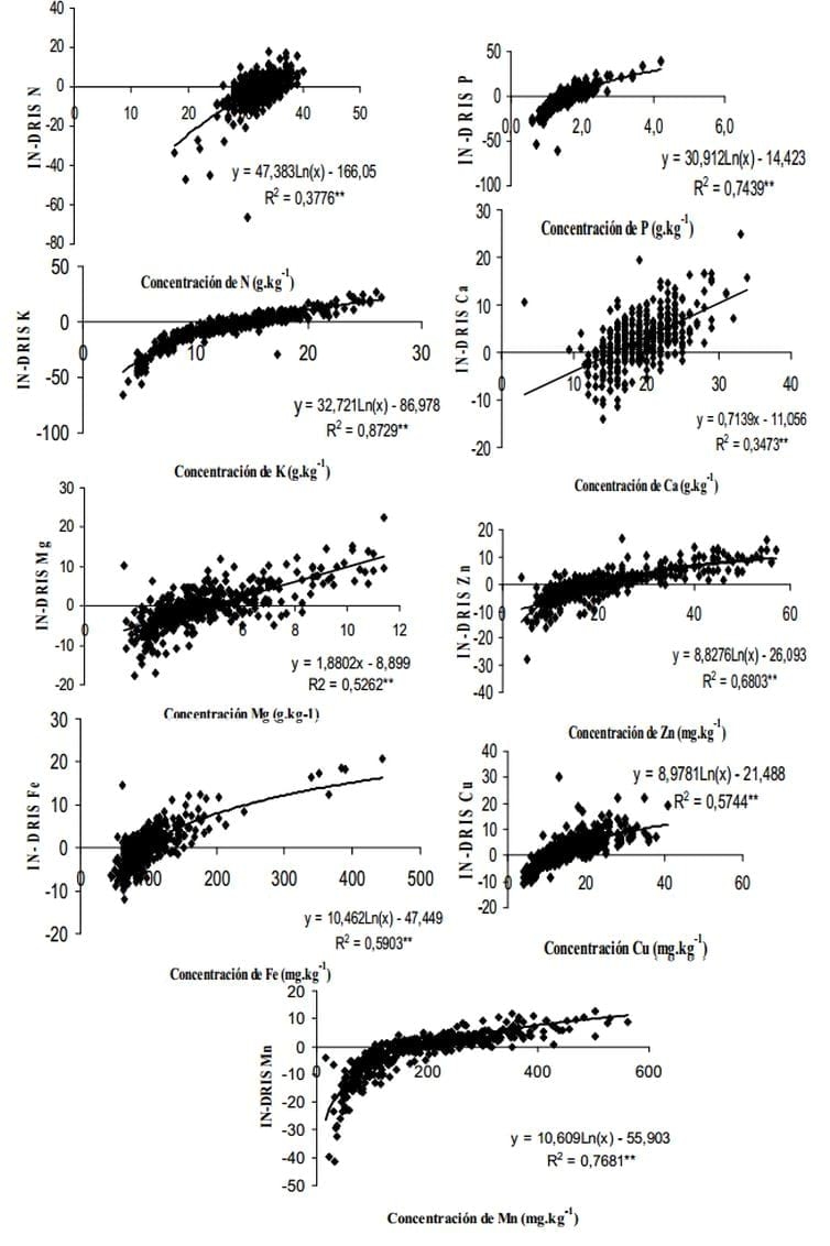 Normas e indices DRIS para la evaluación nutricional del Cafeto - Image 6