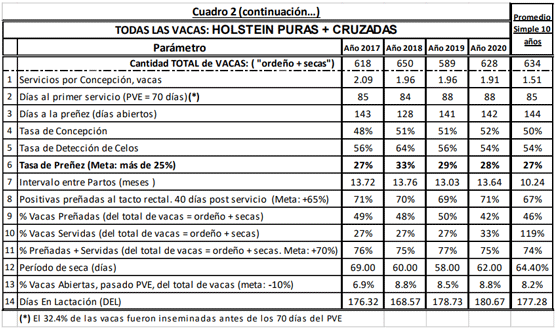 TODAS LAS VACAS: HOLSTEIN PURAS + CRUZADAS