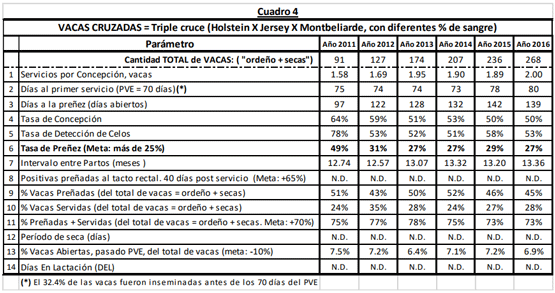 VACAS CRUZADAS = Triple cruce (Holstein X Jersey X Montbeliarde, con diferentes % de sangre)