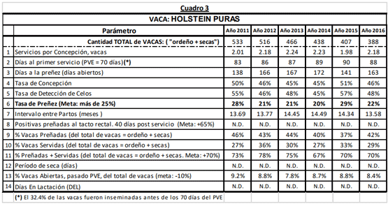 VACA: HOLSTEIN PURAS