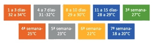 Estrategias de gestión invernal para mejorar el rendimiento de los pollos de engorde - Image 2