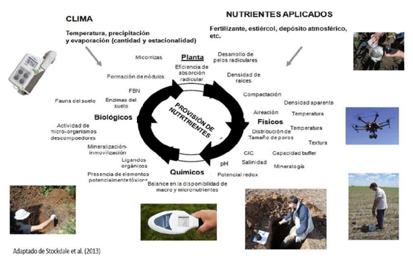 Figura 1. Herramientas tradicionales y de precisión que se deben considerar para el diagnóstico integral de las deficiencias nutricionales.