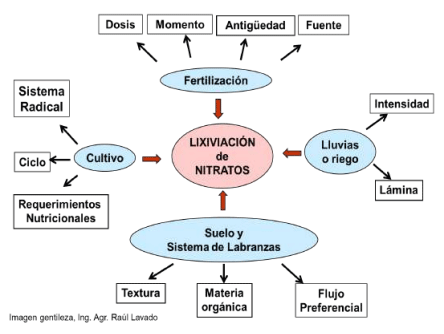 Figura 2. Factores que inciden en el proceso de lixiviación de nitratos.