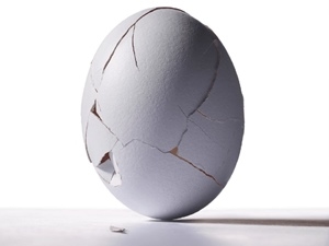 Algunos apuntes en la alimentación de gallinas en sistemas alternativos - Image 1