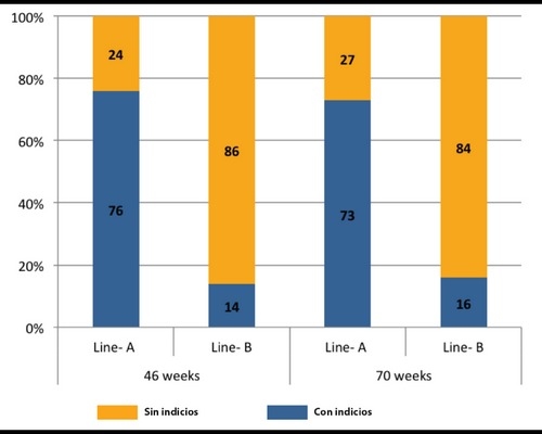 Seleccionando para conseguir huesos más fuertes: influencia genética en la reducción de las fracturas óseas de las ponedoras - Image 3