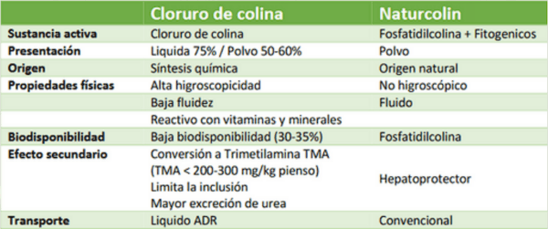 Uso de colina en nutrición animal - Image 1