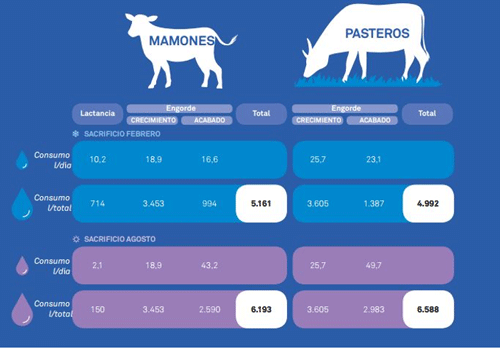 Figura 2. Consumo de agua de bebida en cada sistema de producción en función de la época de sacrificio.