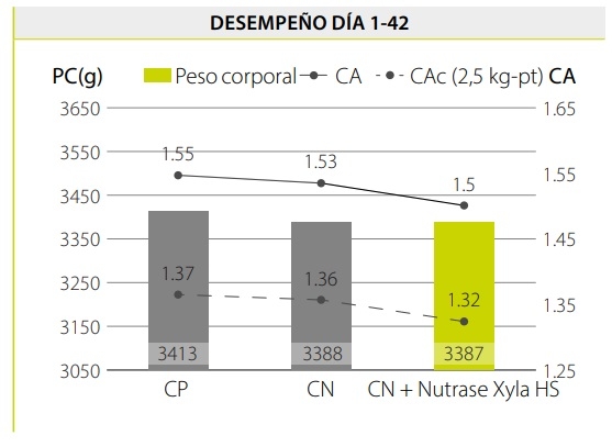 Ahorro de costos de alimentación mediante la reformulación de dietas para pollos de engorde con el uso de Nutrase Xyla HS - Image 5