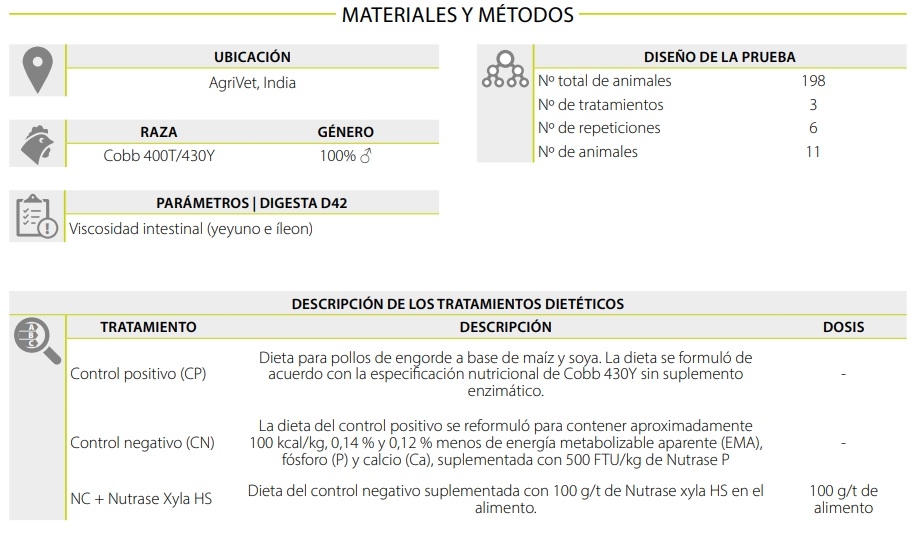 Ahorro de costos de alimentación mediante la reformulación de dietas para pollos de engorde con el uso de Nutrase Xyla HS - Image 1
