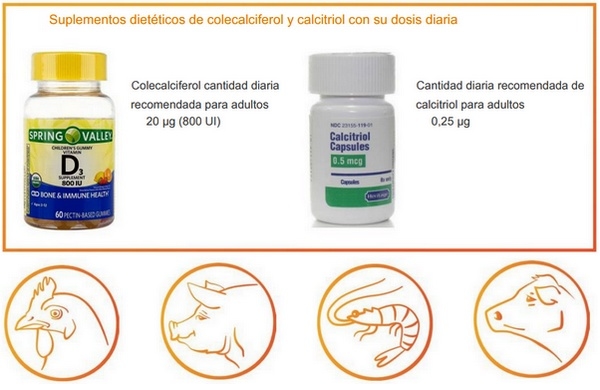 Vitamina D, la 