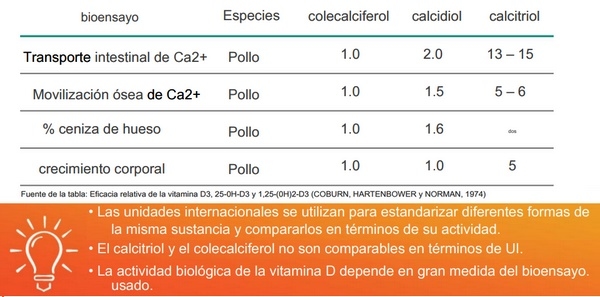 Vitamina D, la 