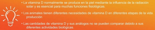 Vitamina D, la 