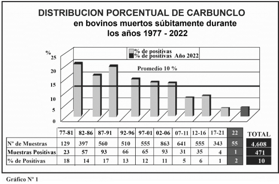 grafico 1