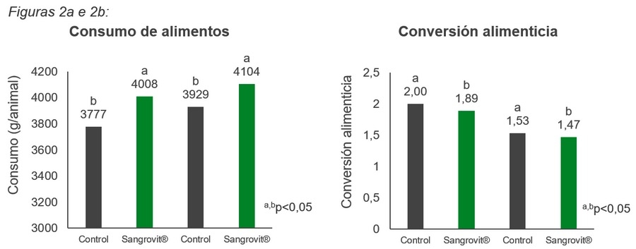 El efecto de los alcaloides isoquinolínicos sobre el estrés térmico en pollos - Image 5